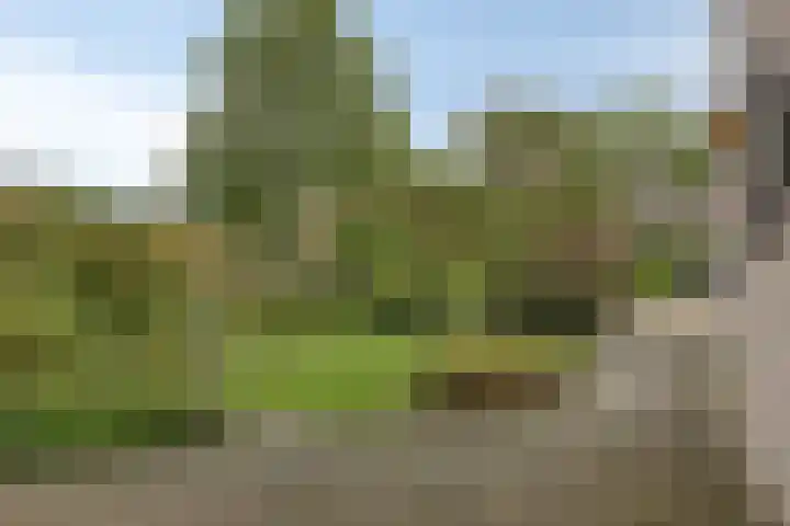 Vlier 11 Poortugaal thumbnail 4