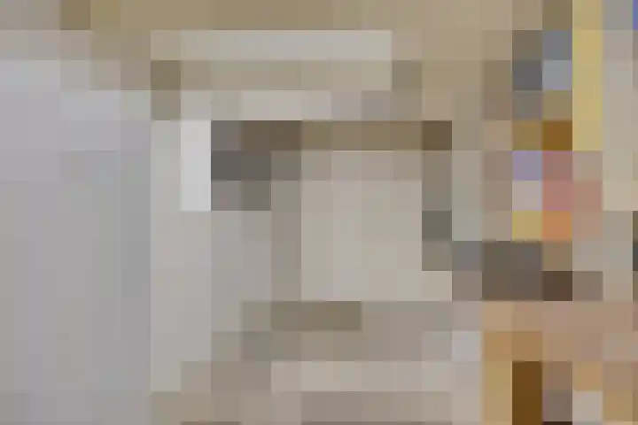 Vlier 11 Poortugaal thumbnail 40