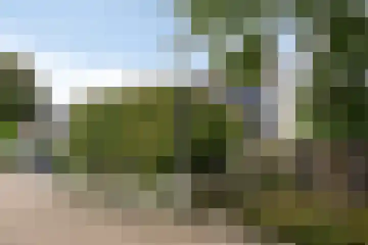 Vlier 11 Poortugaal thumbnail 41