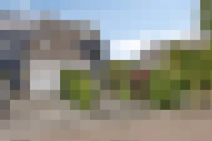 Vlier 11 Poortugaal thumbnail 42