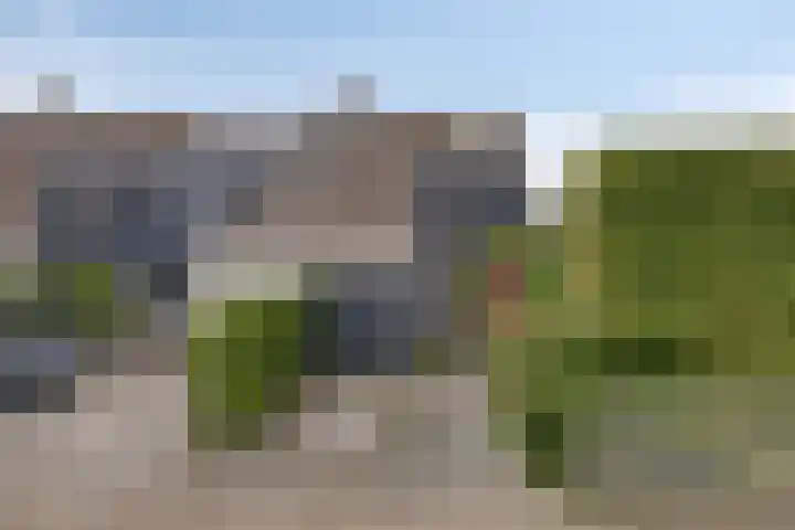 Vlier 11 Poortugaal thumbnail 43