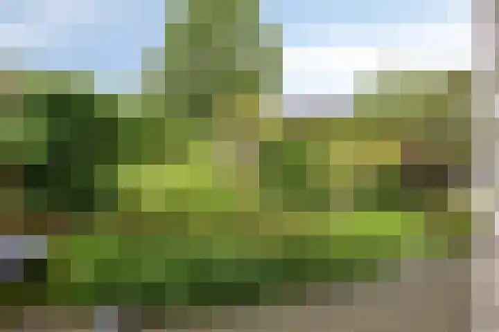 Vlier 11 Poortugaal thumbnail 45
