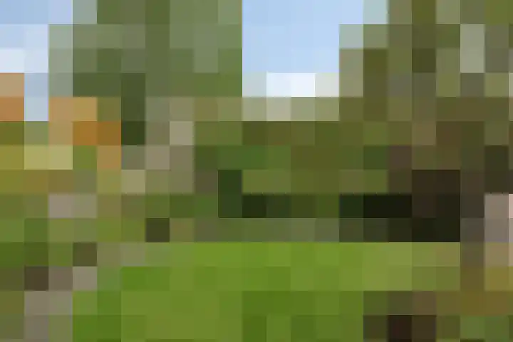 Vlier 11 Poortugaal thumbnail 46
