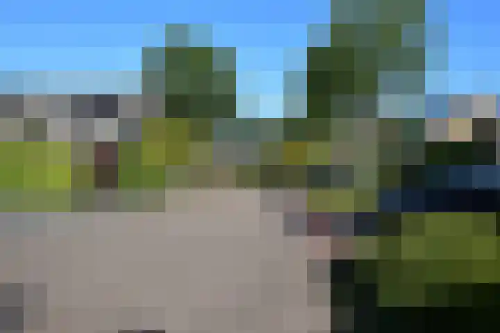 Vlier 11 Poortugaal thumbnail 47