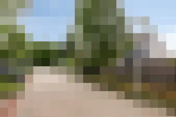 Vlier 11 Poortugaal thumbnail 48