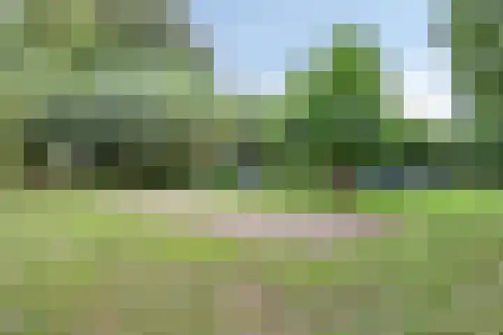 Vlier 11 Poortugaal thumbnail 49