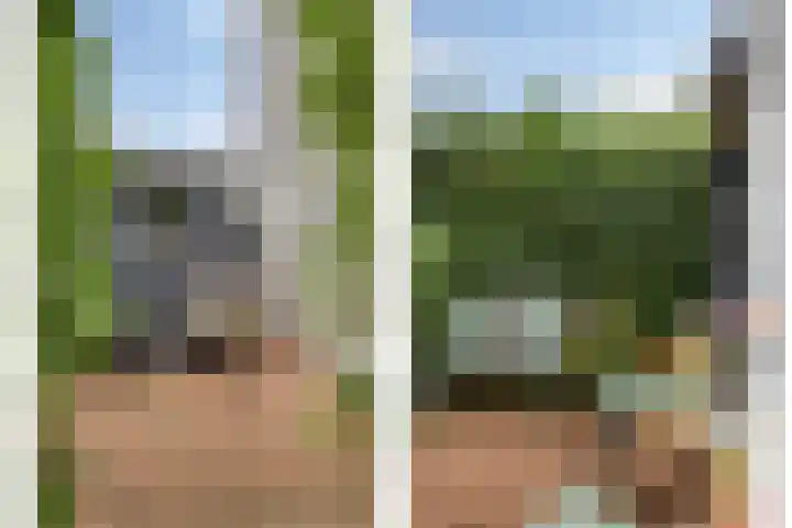 Vlier 11 Poortugaal thumbnail 5