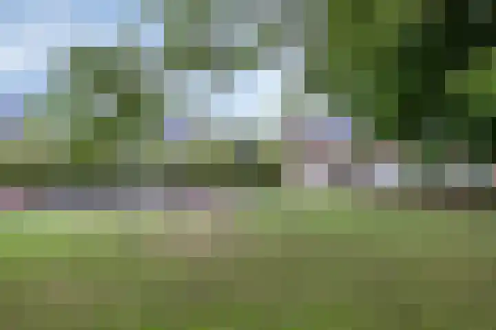 Vlier 11 Poortugaal thumbnail 50