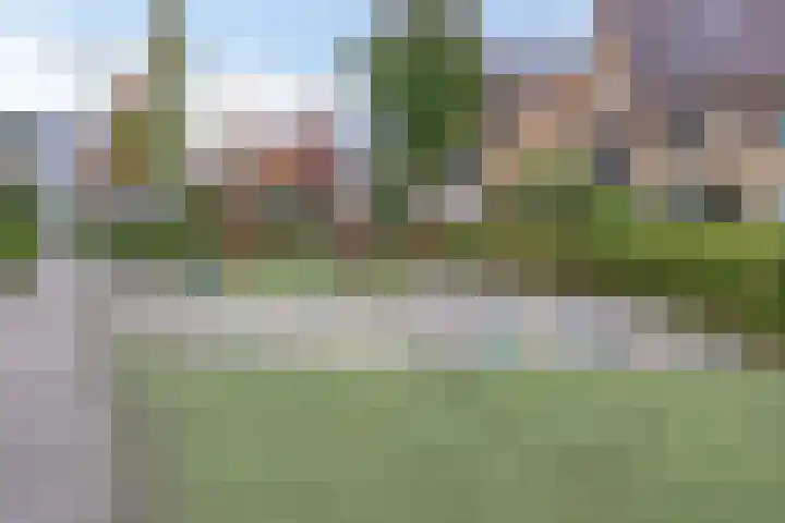 Vlier 11 Poortugaal thumbnail 51