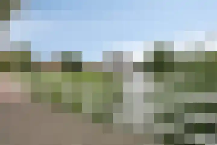 Vlier 11 Poortugaal thumbnail 52