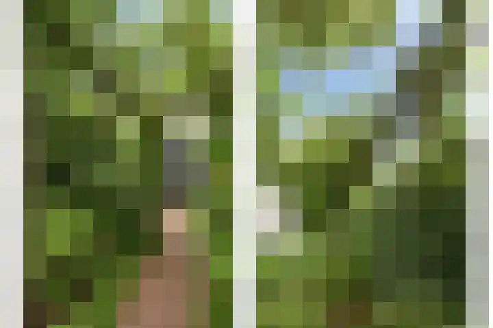 Vlier 11 Poortugaal thumbnail 6