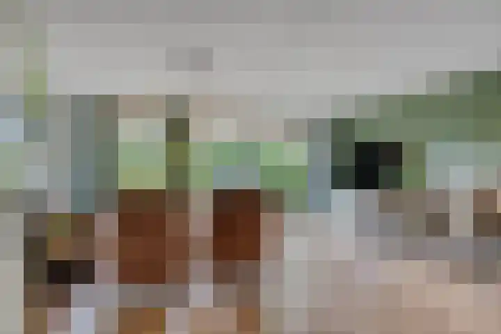 Vlier 11 Poortugaal thumbnail 8