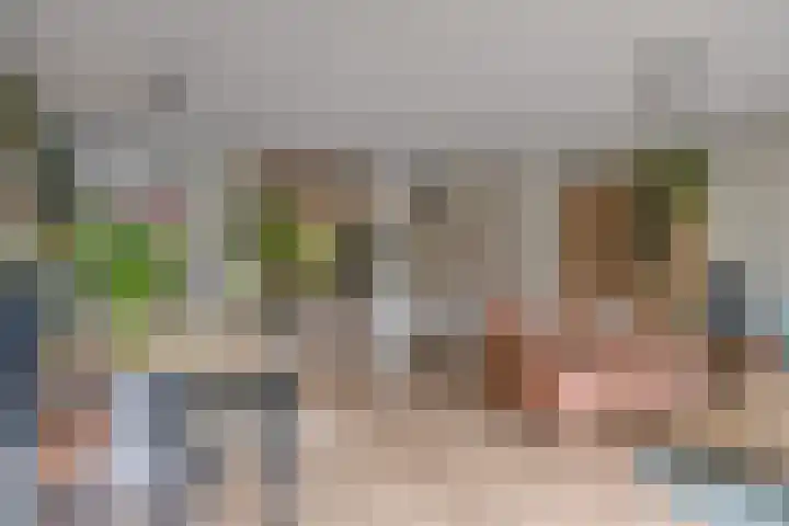 Vlier 11 Poortugaal thumbnail 9