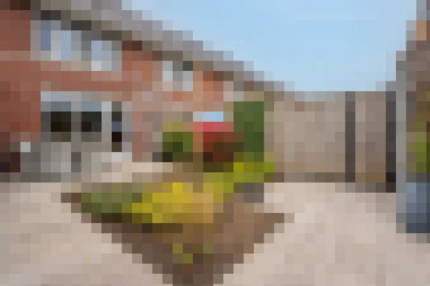 Vlier 17 Giethoorn thumbnail 31