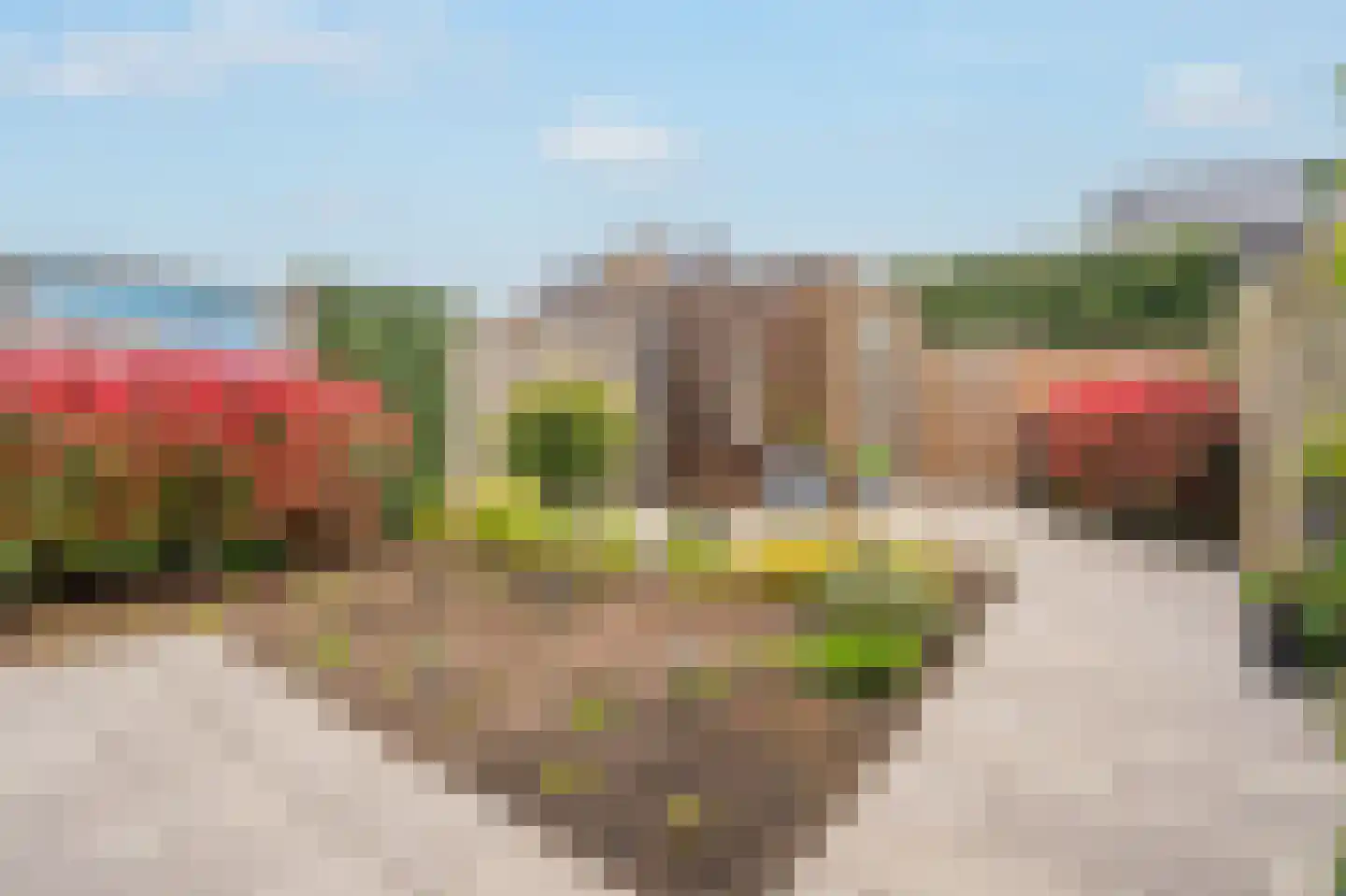 Vlier 17 Giethoorn thumbnail 35