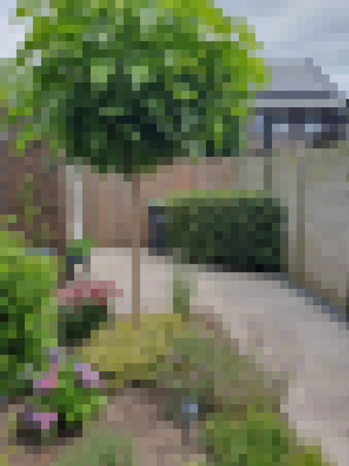 Vlier 17 Giethoorn thumbnail 42
