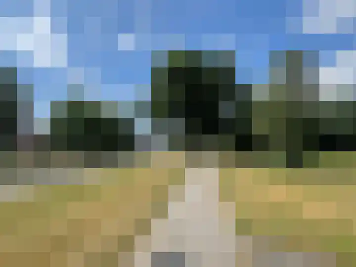 Vlier 2 Coevorden thumbnail 16
