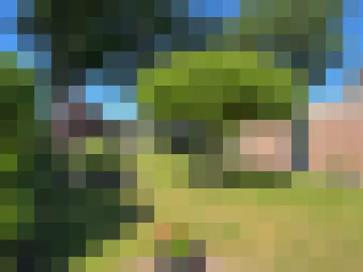 Vlier 2 Coevorden thumbnail 20