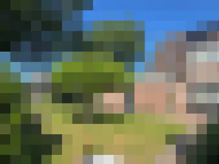 Vlier 2 Coevorden thumbnail 21