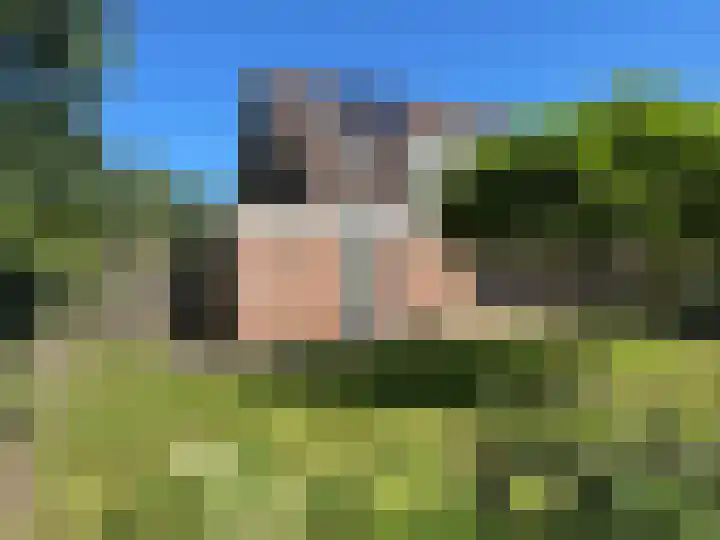 Vlier 2 Coevorden thumbnail 22