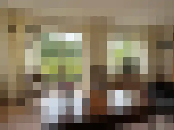 Vlier 2 Coevorden thumbnail 23