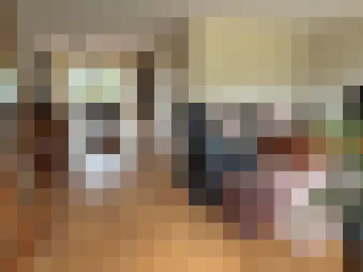 Vlier 2 Coevorden thumbnail 25