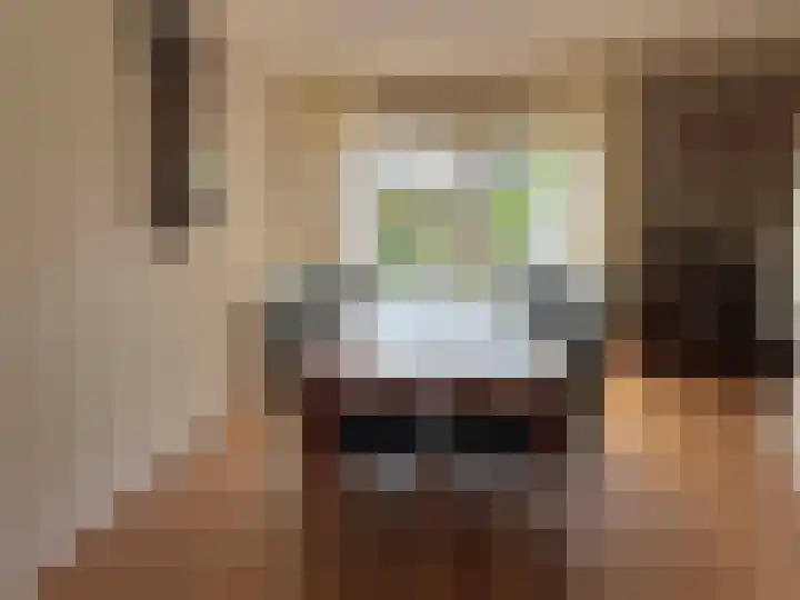 Vlier 2 Coevorden thumbnail 26