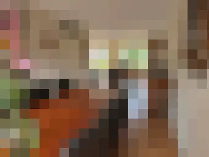 Vlier 2 Coevorden thumbnail 27