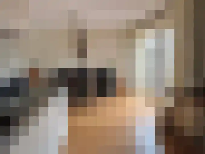 Vlier 2 Coevorden thumbnail 28