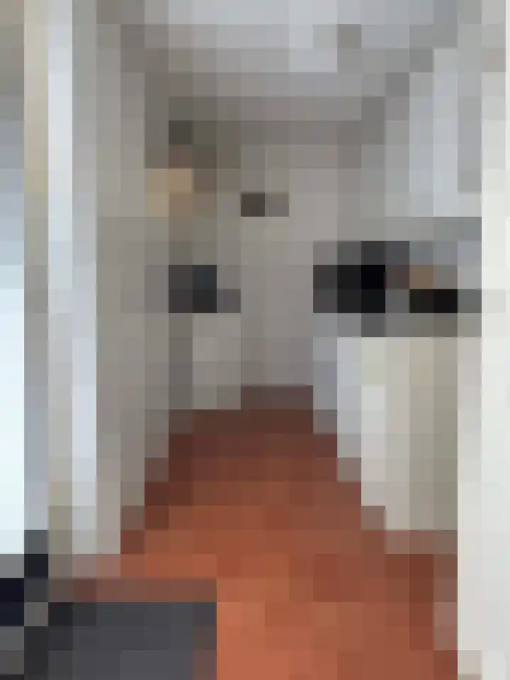 Vlier 2 Coevorden thumbnail 30