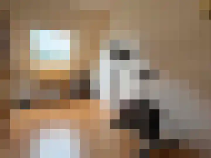 Vlier 2 Coevorden thumbnail 34
