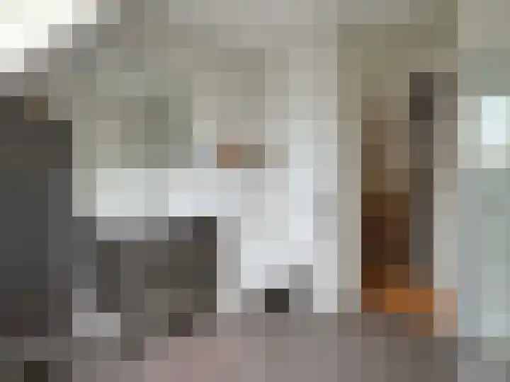 Vlier 2 Coevorden thumbnail 36