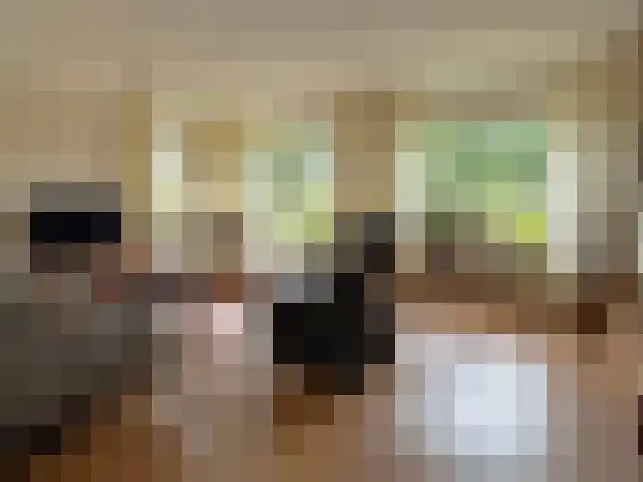 Vlier 2 Coevorden thumbnail 4