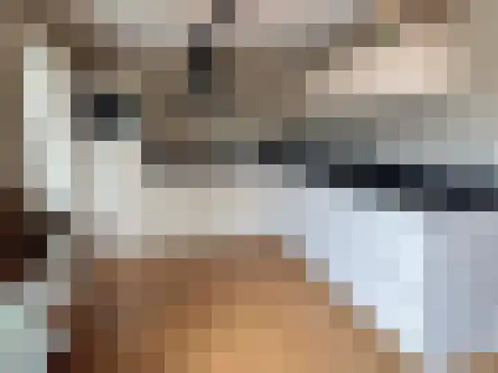 Vlier 2 Coevorden thumbnail 5
