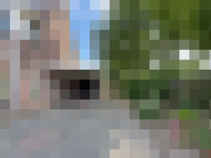 Vlier 2 Coevorden thumbnail 8