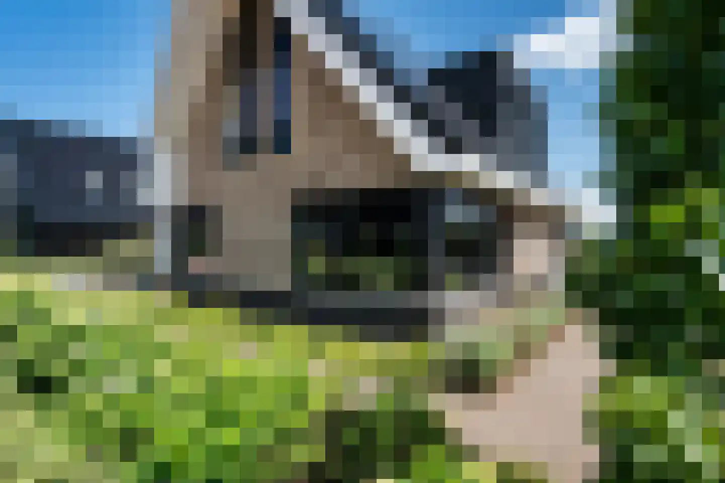 Vlier 20 Giethoorn thumbnail 61