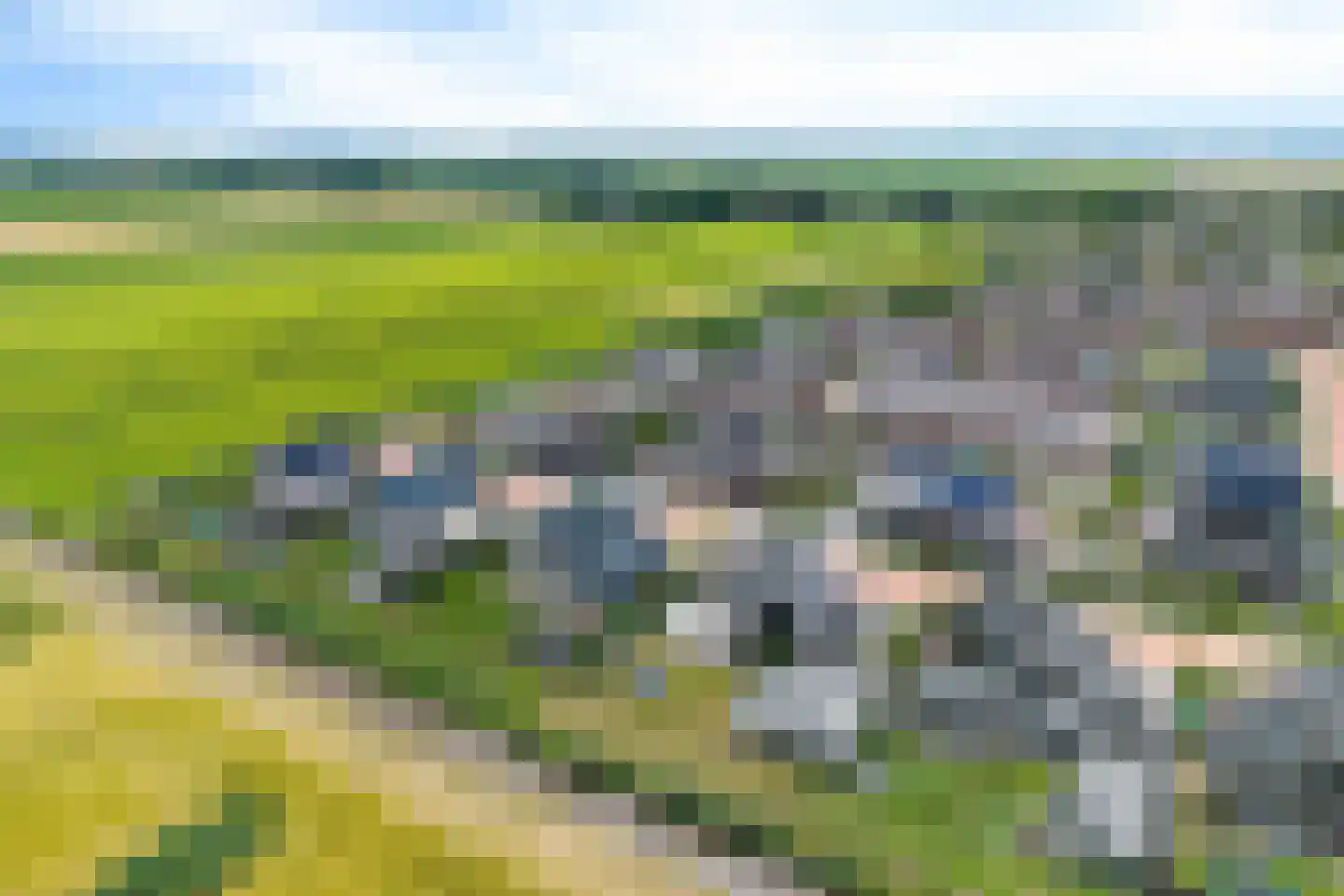 Vlier 20 Giethoorn thumbnail 63
