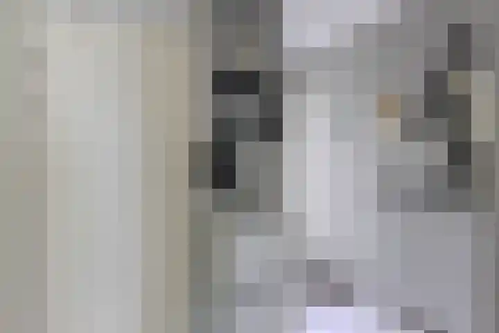 Vlier 33 Poortugaal thumbnail 10