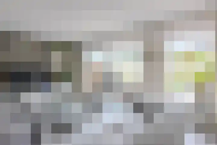 Vlier 33 Poortugaal thumbnail 13