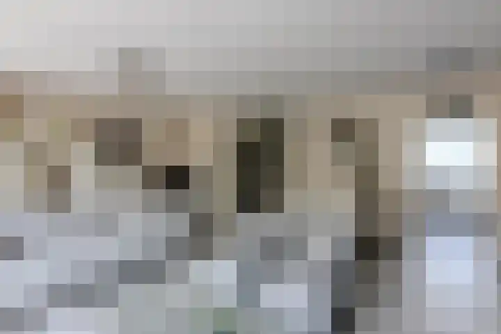 Vlier 33 Poortugaal thumbnail 14