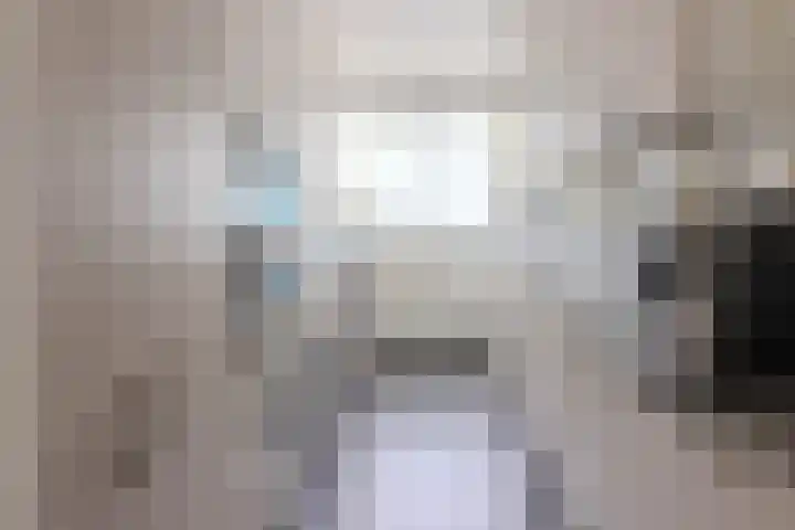 Vlier 33 Poortugaal thumbnail 15