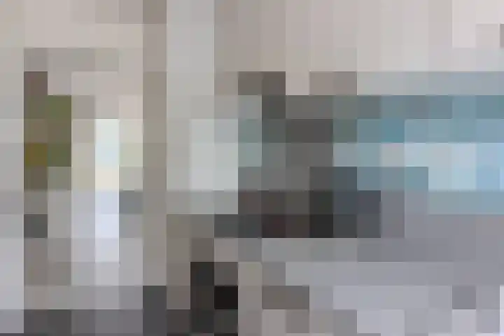 Vlier 33 Poortugaal thumbnail 16