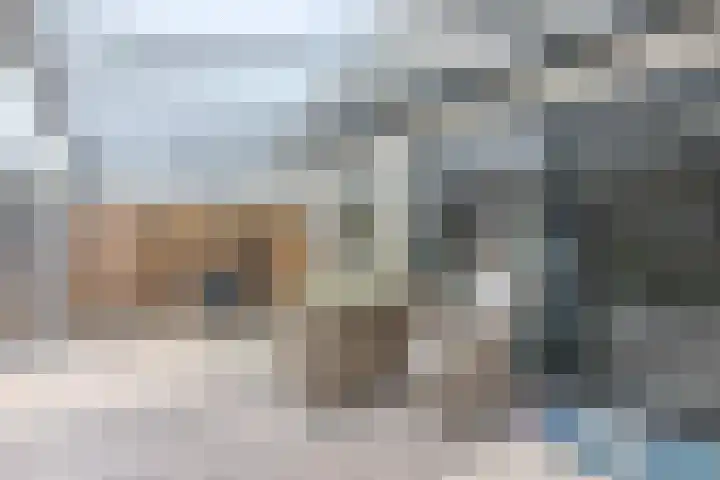 Vlier 33 Poortugaal thumbnail 17