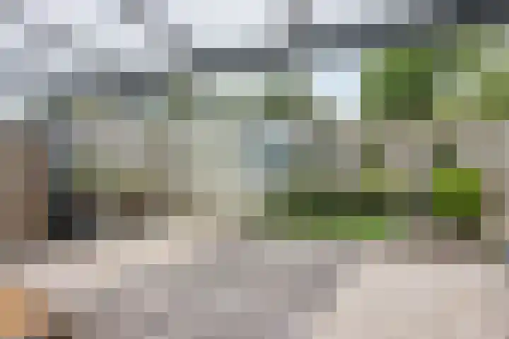 Vlier 33 Poortugaal thumbnail 18