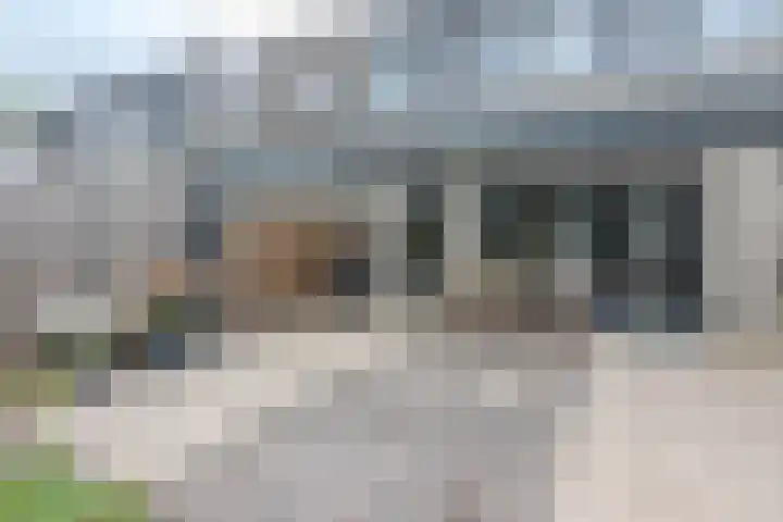 Vlier 33 Poortugaal thumbnail 19