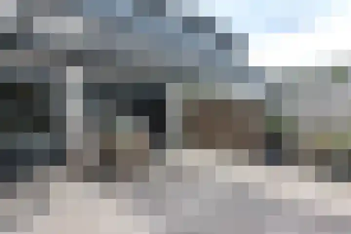 Vlier 33 Poortugaal thumbnail 20