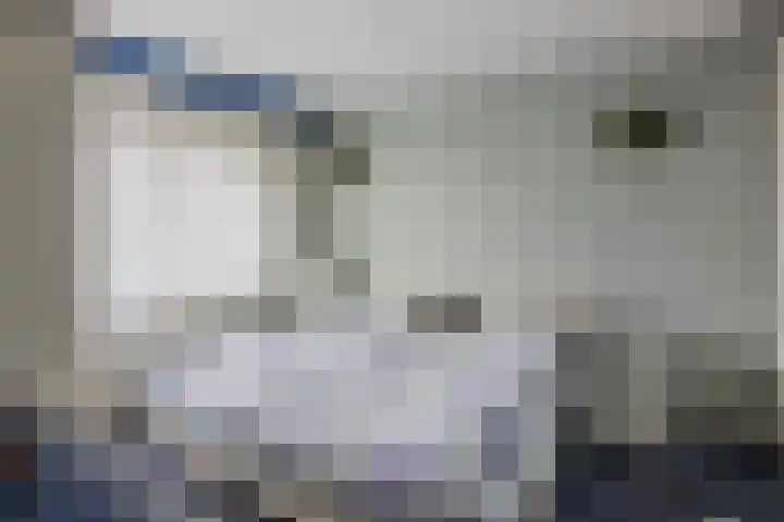 Vlier 33 Poortugaal thumbnail 24