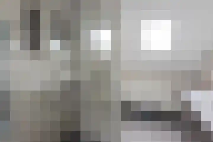Vlier 33 Poortugaal thumbnail 25