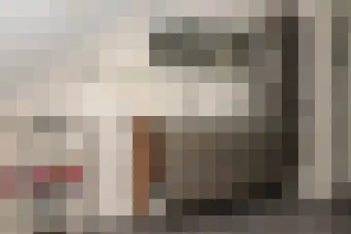 Vlier 33 Poortugaal thumbnail 26