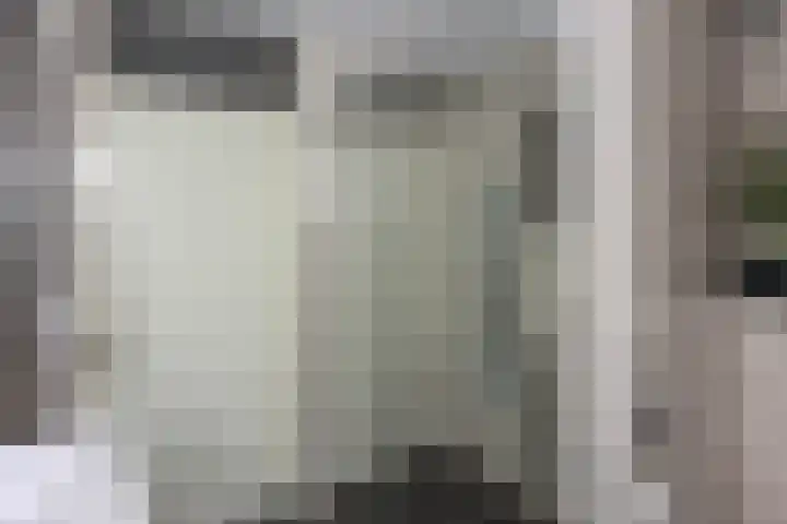 Vlier 33 Poortugaal thumbnail 27